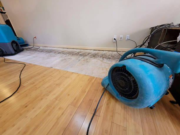 Professional Burst Pipe Water Damage technician working in Eudora, KS